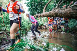 BIB: 
                            <button type="button" onclick="openModal(25514283)" class="btn btn-primary btn-sm float-right btn-popup" data-toggle="modal" data-target=".modal-high-quality">
                        <i class="fas fa-shopping-cart"></i> Add to Cart
                    </button>
                                            <button type="button" onclick="isThisMe(25514283, true)" class="btn btn-success btn-sm float-right btn-popup btn-isme hidden" data-toggle="tooltip" data-placement="bottom" title="นี่คือรูปของคุณใช่ไหม คลิกที่นี่เพื่อเอาเข้าอัลบั้ม">
                        <i class="fas fa-plus"></i> Add to album
                    </button>
                    <button type="button" onclick="isThisMe(25514283, false)" class="btn btn-warning btn-sm float-right btn-popup btn-isnotme hidden">
                        <i class="fas fa-ban"></i> Remove from album
                    </button>